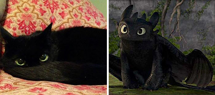 Toothless From How To Train Your Dragon