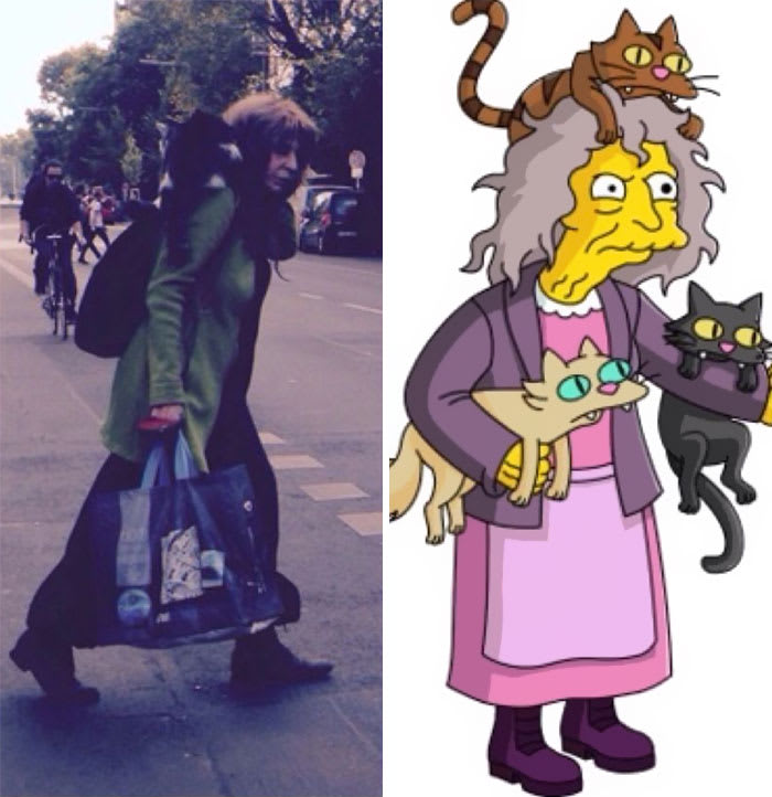 Cat Lady From The Simpsons