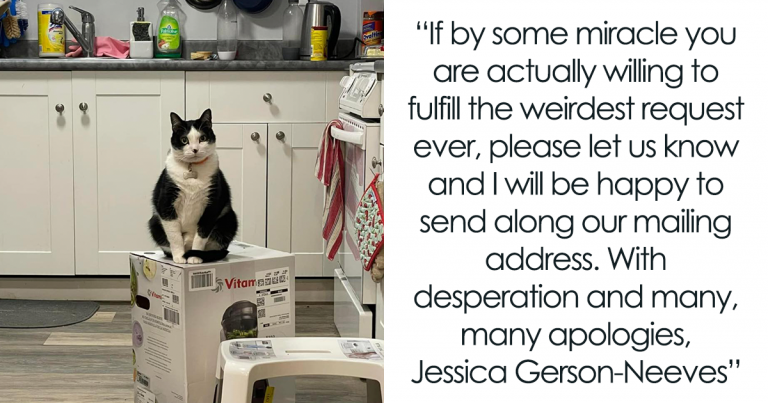 Une publication sur Facebook étrangement hilarante d’une femme demandant au fabricant du mélangeur des boîtes vides alors que ses chats prenaient un nouveau mélangeur et une nouvelle boîte « otage » devient virale